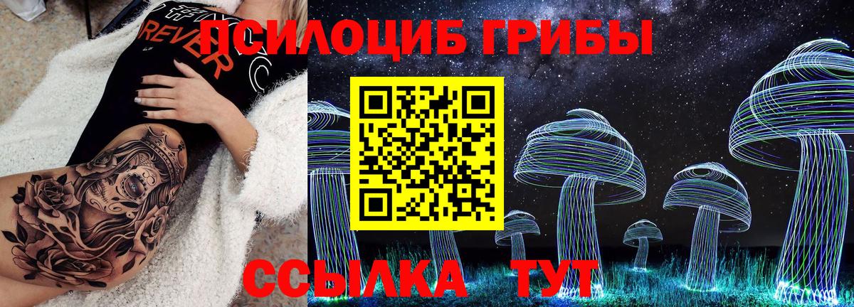 Псилоцибиновые грибы GOLDEN TEACHER  Вход с VPN  Вичуга 