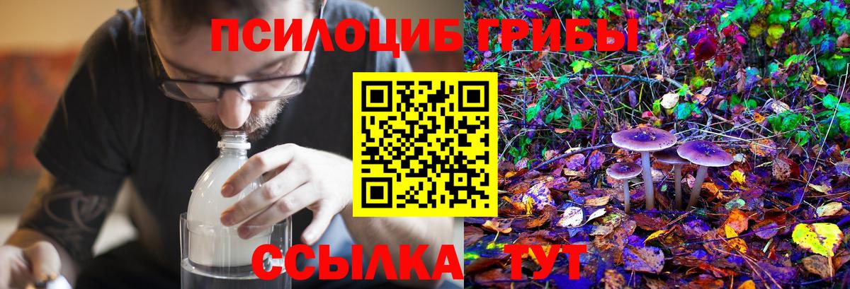 Псилоцибиновые грибы Magic Shrooms Вичуга